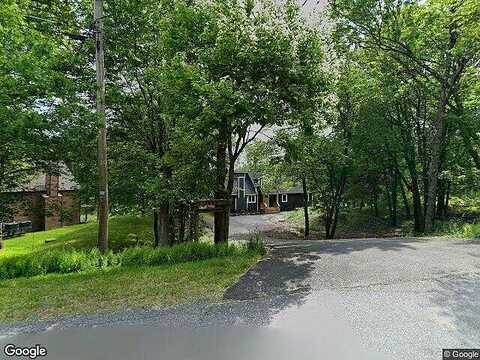 Wild Laurel, LONG POND, PA 18334
