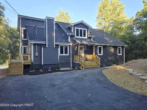 Wild Laurel, LONG POND, PA 18334