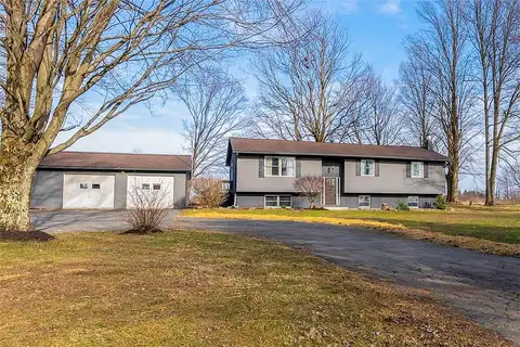 Maple, GREENVILLE, PA 16125