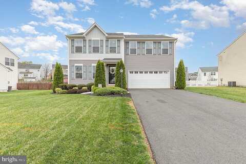 Walnut Branch, CULPEPER, VA 22701