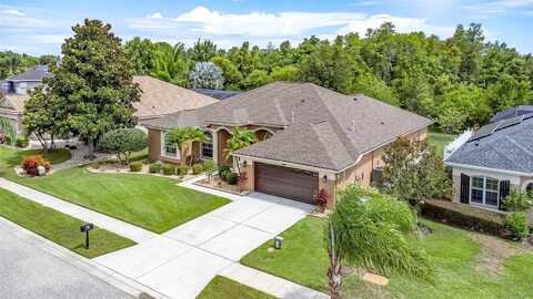 Ivy Lake, ODESSA, FL 33556