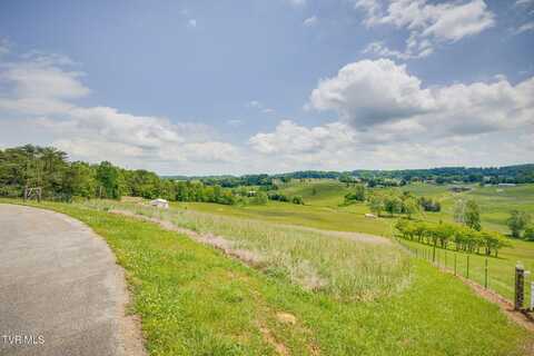 Tbd Tranquil Court, Jonesborough, TN 37659