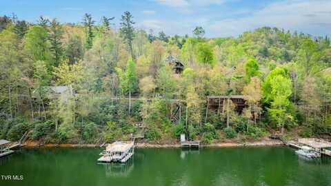 Tbd Cove Ridge Circle, Butler, TN 37640