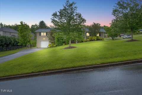 8 Lambeth Court, Johnson City, TN 37601