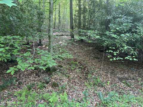 Lot 6b Of Roan Creek Road, Butler, TN 37640