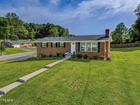 229 Minuteman Drive, Bluff City, TN 37618