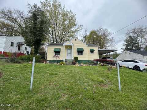 1321 Holly Court, Bristol, TN 37620