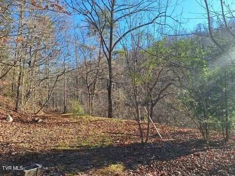 289a Early Branch Road, Rogersville, TN 37857