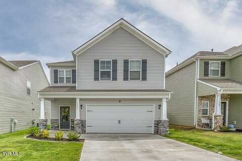 146 Wanderlust Court, Johnson City, TN 37604