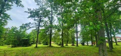 Overlook Ridge, BIG SANDY, TN 38221