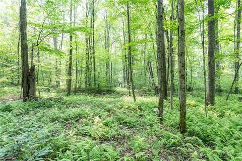 Stanley Campbell Road, Delhi, NY 13753