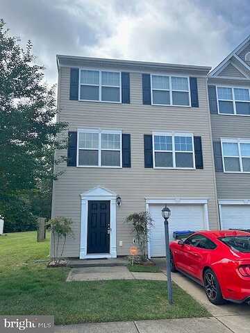 Silver Fox, LOCUST GROVE, VA 22508