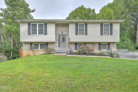 Sapling Grove, BRISTOL, VA 24201