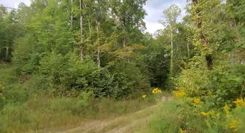 1B Junaluska Drive, Jamestown, TN 38556
