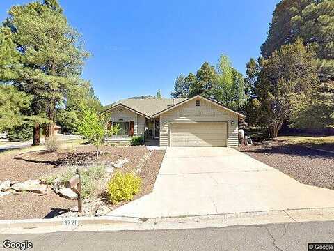 Bottlebrush, FLAGSTAFF, AZ 86004