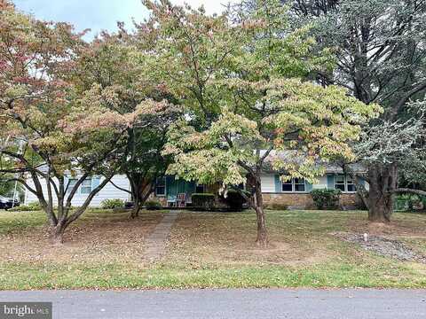 Kleyona, PHOENIXVILLE, PA 19460