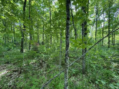 160 Acres Mead Logging, Crystal Falls, MI 49920