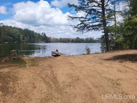1484 S Shag Lakes, Gwinn, MI 49841