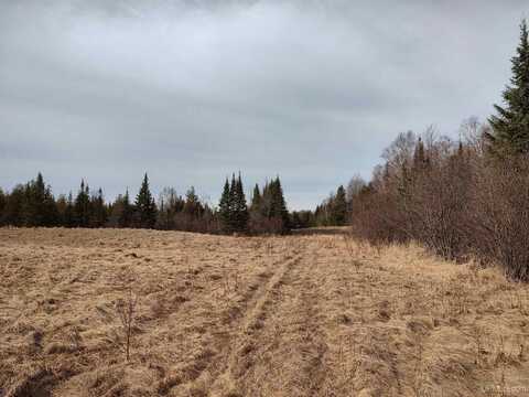 40 Acres Trombley 35th Road, Rock, MI 49880