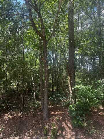 0 Glen Brook St, Beaumont, TX 77713