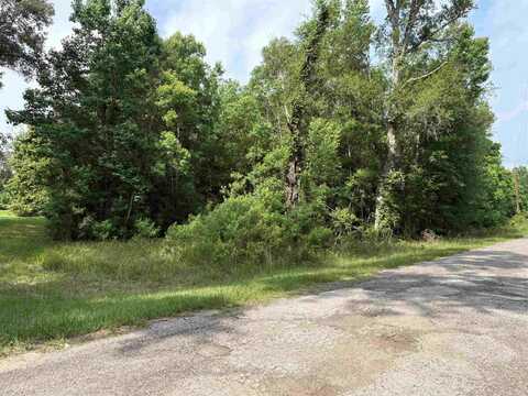 2542 716, Buna, TX 77612