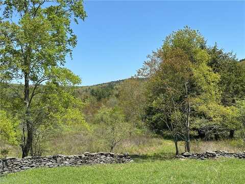 Bull Run Road, Middletown, NY 12455