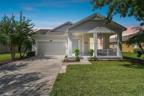 Handel, LAND O LAKES, FL 34637