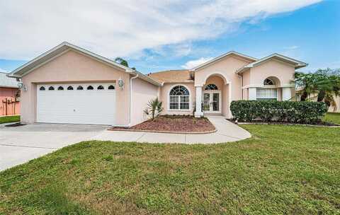 Basalisk, NEW PORT RICHEY, FL 34653
