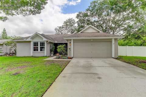 Jacaranda, OLDSMAR, FL 34677