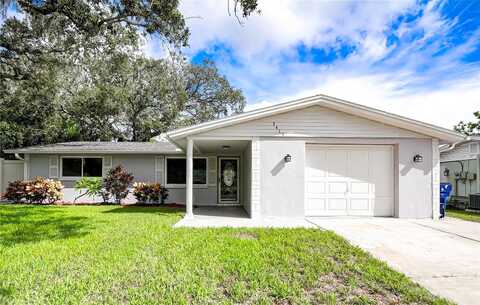Bigelow, HOLIDAY, FL 34691