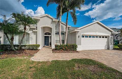 Aster, PALM HARBOR, FL 34684