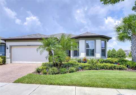 Coastal Shore, LAND O LAKES, FL 34638