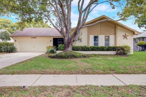 Macdonnell, PALM HARBOR, FL 34684