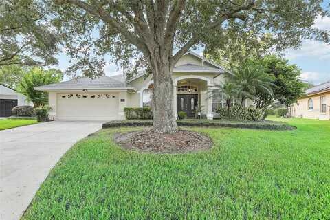 Summer Tree, ORLANDO, FL 32828
