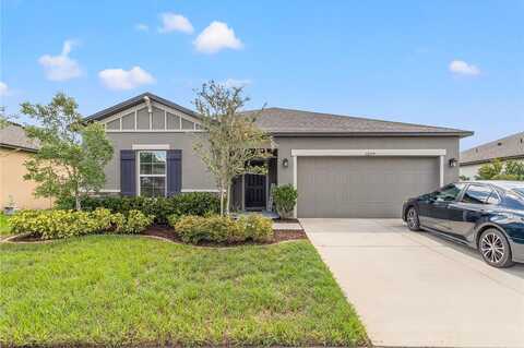 Criollo, SPRING HILL, FL 34610
