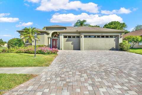 Wayside Willow, HUDSON, FL 34667