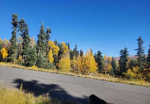 Kolob Terrace RD, Kolob, UT 84779