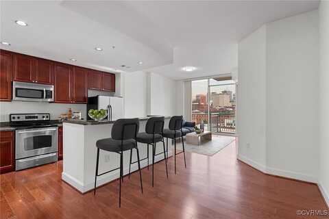 Virginia Street #U909, Richmond, VA 23219