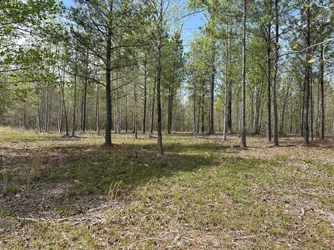 6390 Raulston Falls Road, Jasper, TN 37347