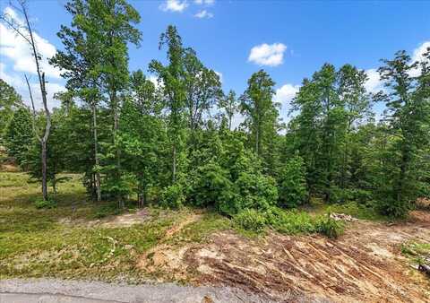 525 Moonlight Lane, Jasper, TN 37347