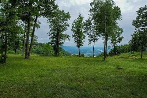640 River Bluffs Drive, Jasper, TN 37347