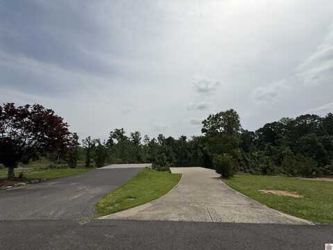 35 Wallace Cemetery Lane, Gilbertsville, KY 42044