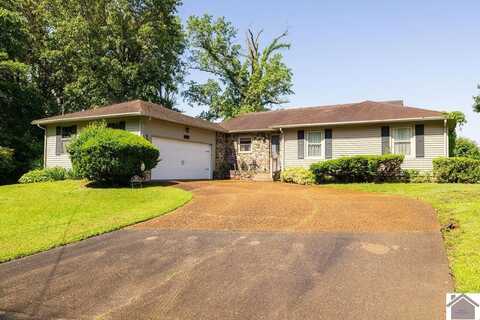 101 Golf Cart Dr, Mayfield, KY 42066