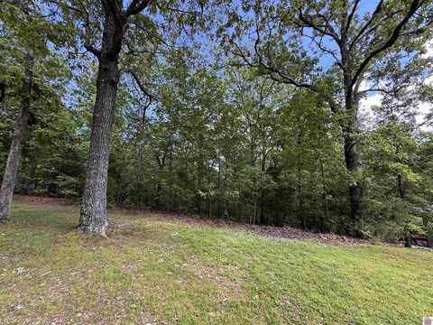00 Leisure Acres Lane, Lot 8, Murray, KY 42071