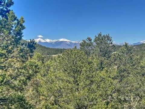 176 Bel Air Way, Cotopaxi, CO 81223
