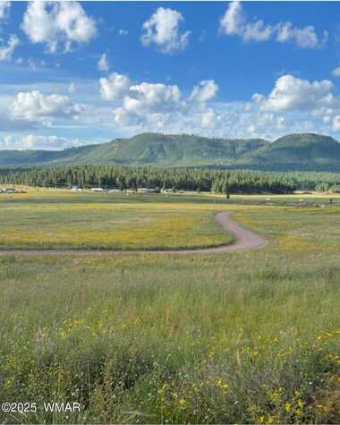Lot 32 The Ranch at Alpine, Alpine, AZ 85920