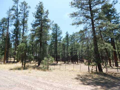 17 N2326, Alpine, AZ 85920