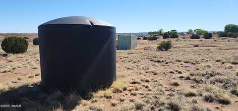 54 S Freeman Hollow Road, Snowflake, AZ 85937