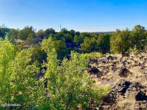 1528 Falcon Rd Lot A 10.33 Acres, Show Low, AZ 85901
