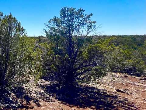 1528 Falcon Rd Lot A 10.33 Acres, Show Low, AZ 85901